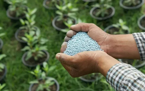 معرفی کود ویتامینه گیاهان + بهترین قیمت خرید